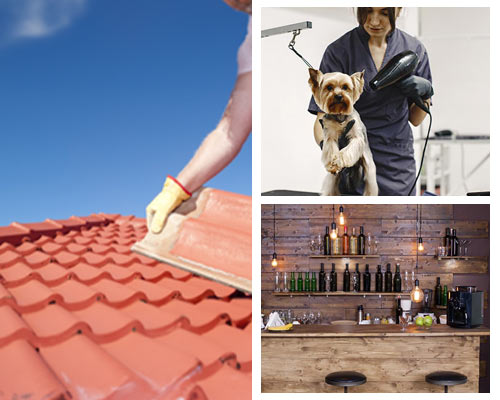 roofing, pet grooming insurance